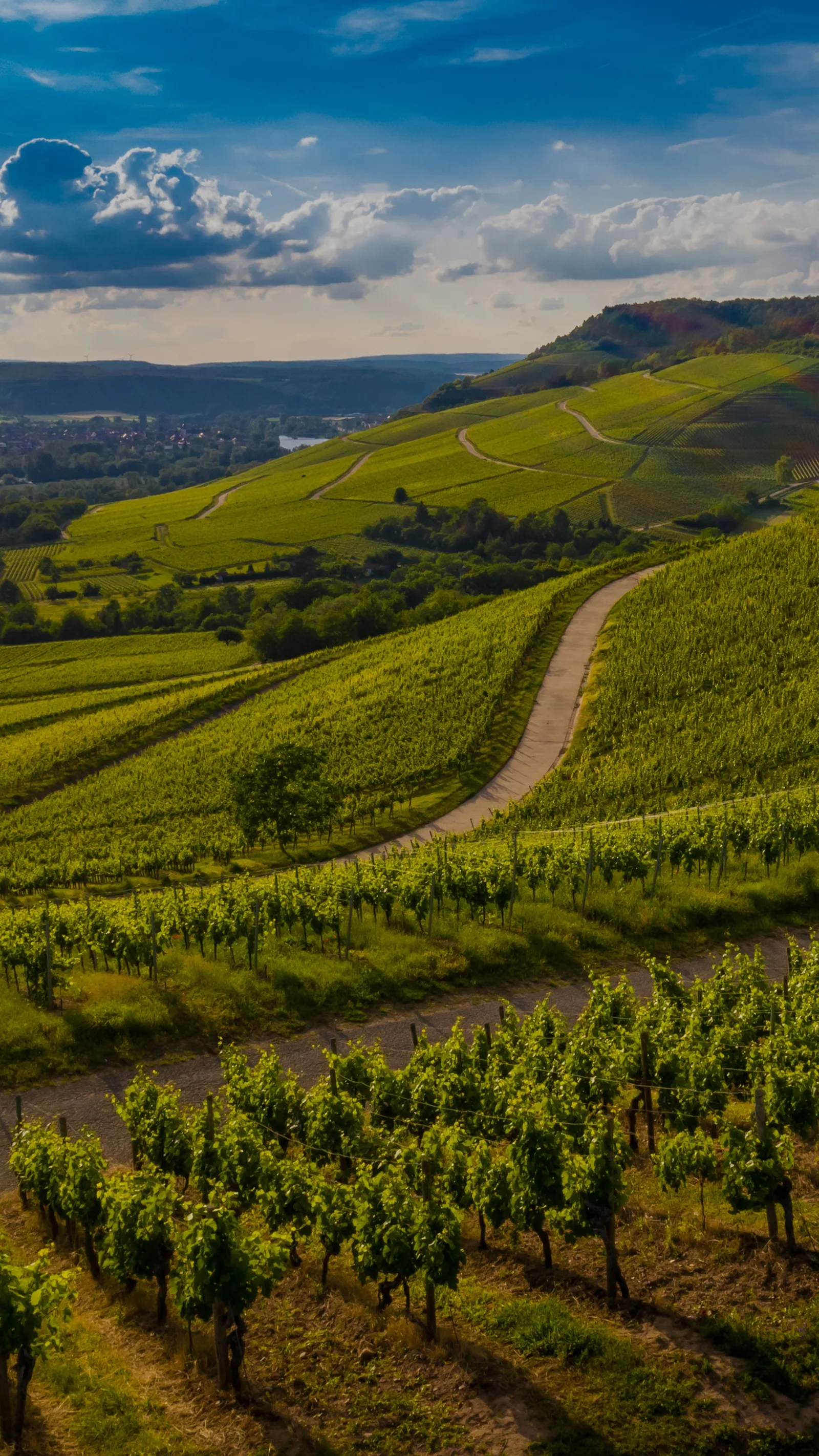 Piedmont