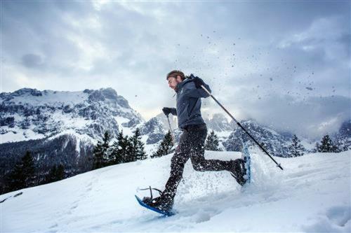 Alexander Hotel Alpine Wellness Dolomites