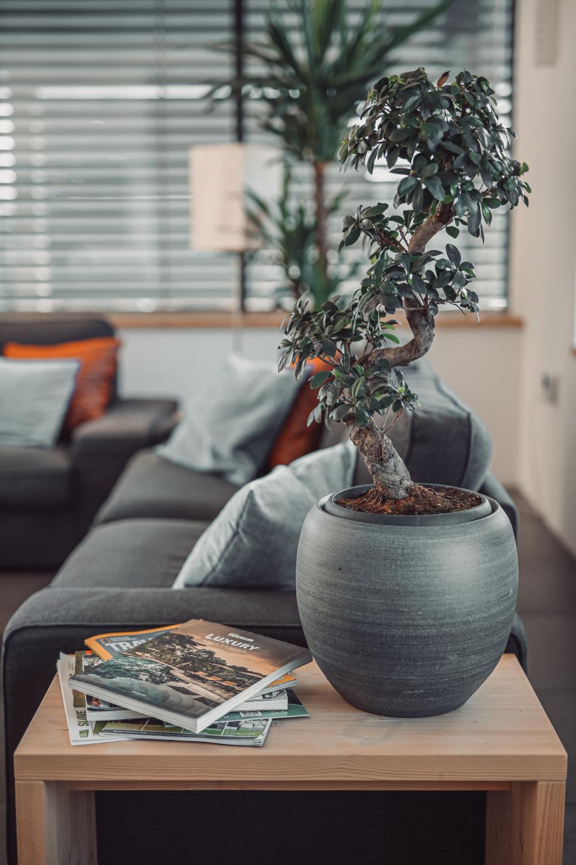 eco boutique hotel AMS Beagle