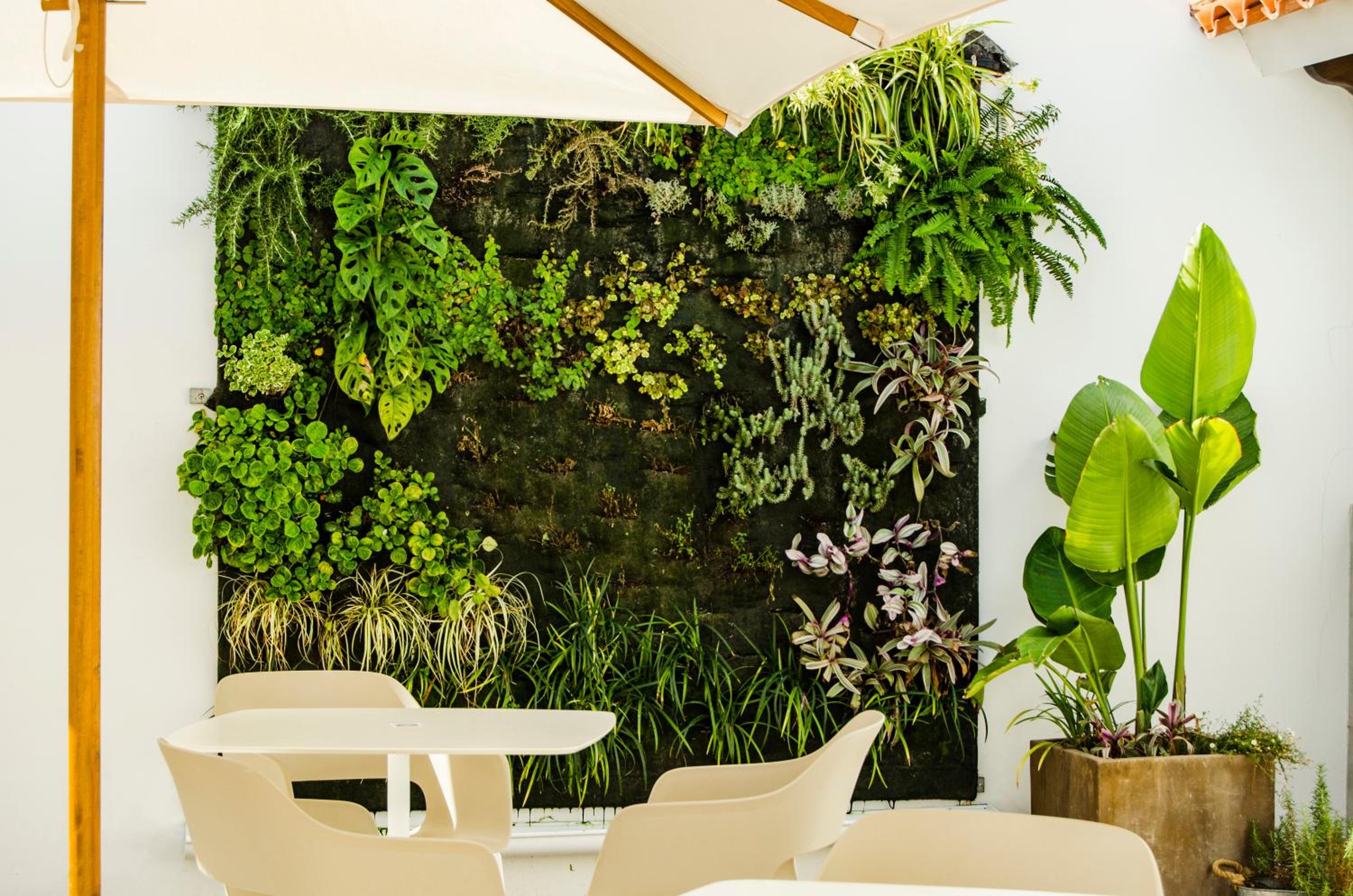 Hotel Anfora Ibiza