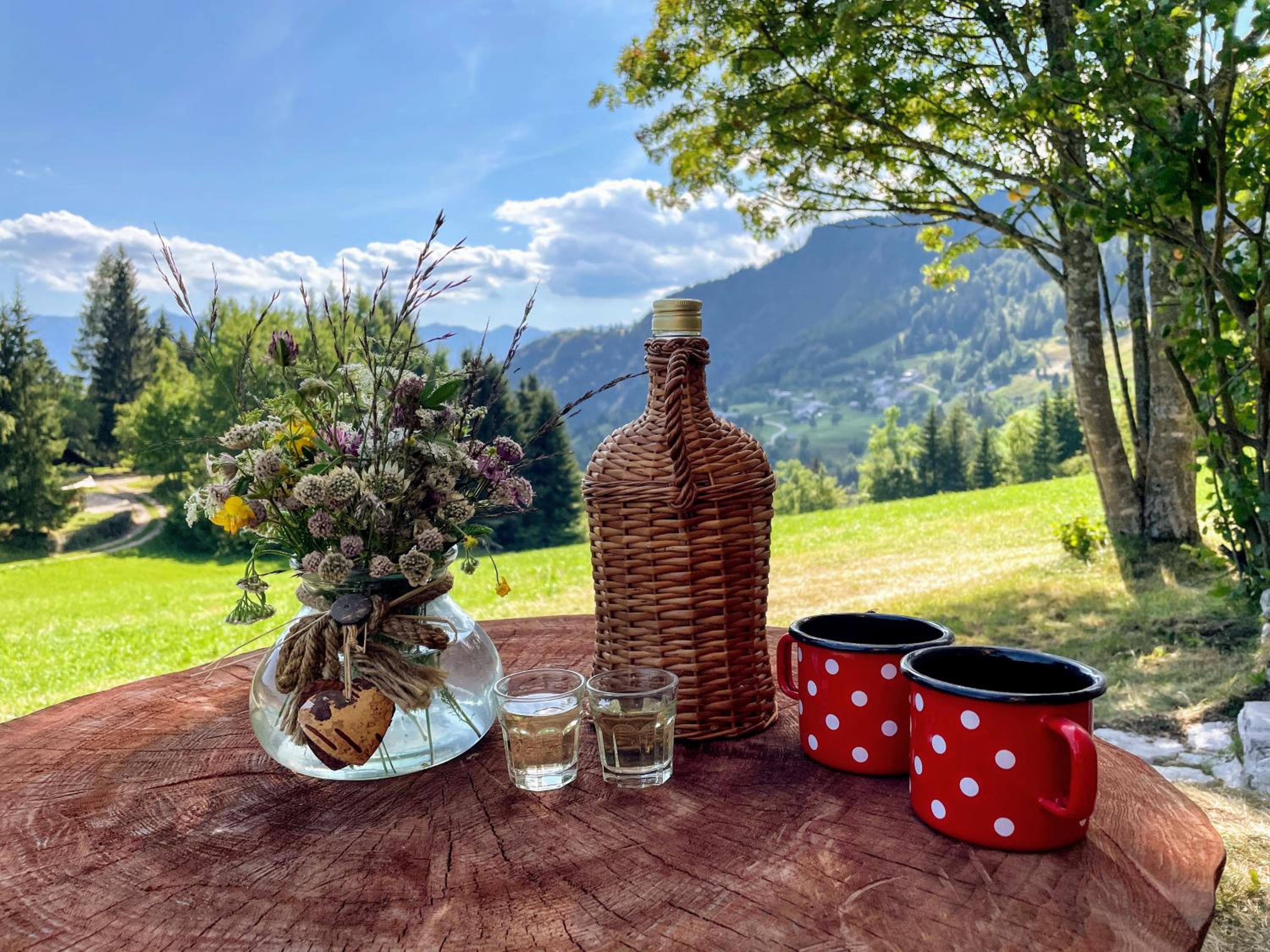 Chalet Hike&Bike above Bohinj valley