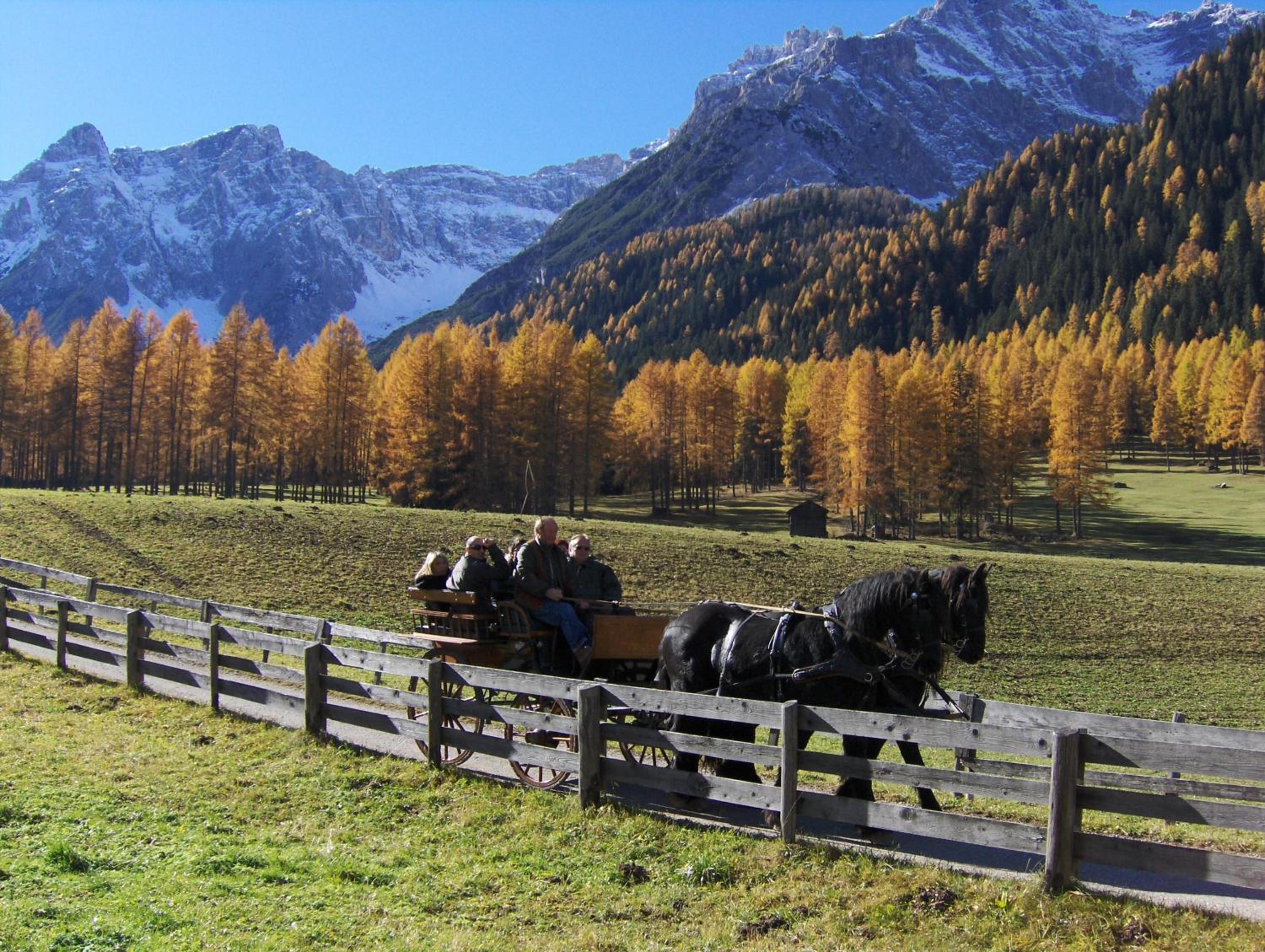 BAD MOOS Dependance "Mühlenhof"