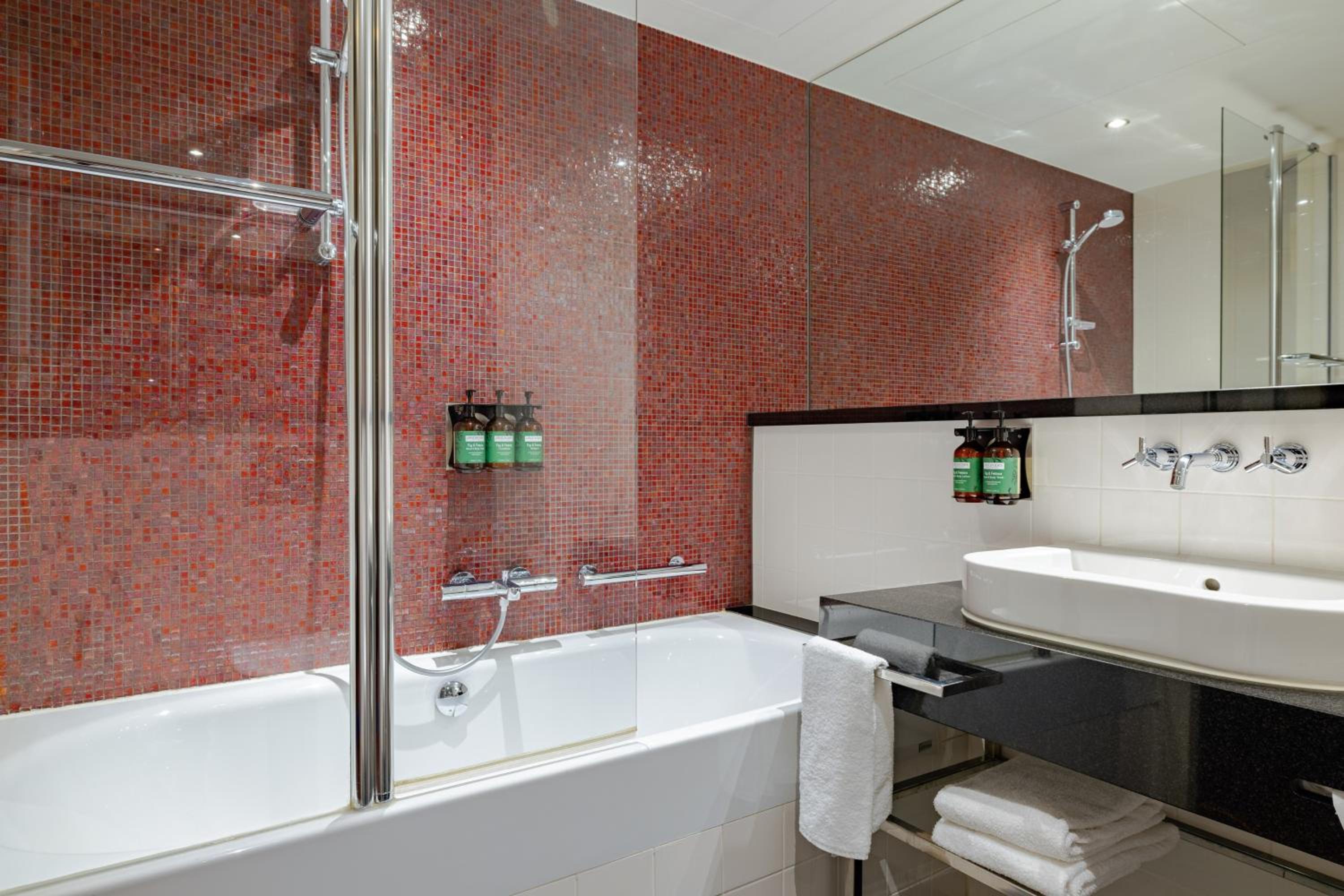 Crowne Plaza Amsterdam - South by IHG