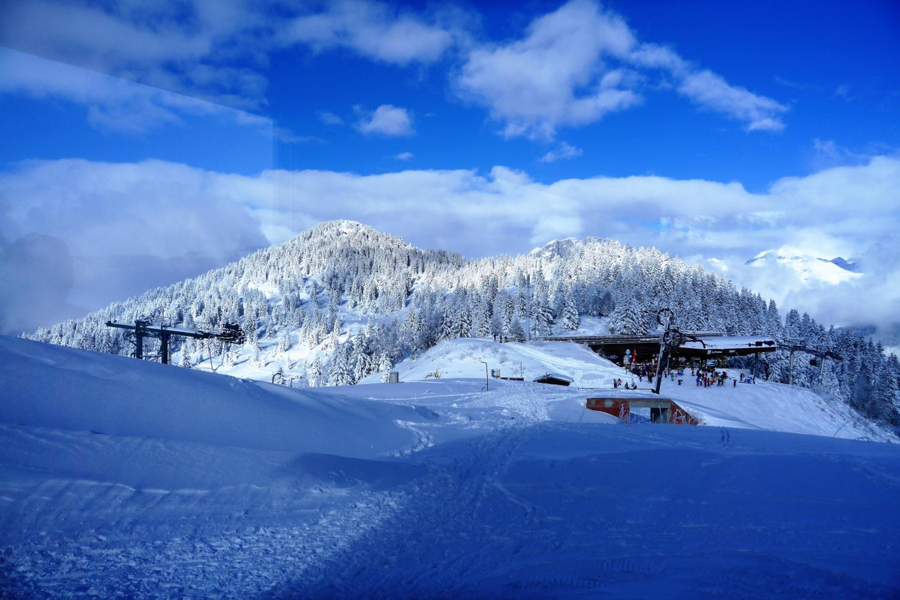 Chalet Hôtel du Bois